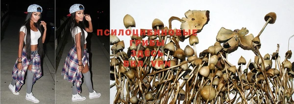 гидропоника Нея